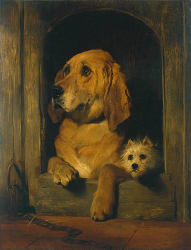 Dignity and Impudence — Pet Portrait